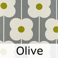 オーラ・カイリー　Abacus Flower Olive