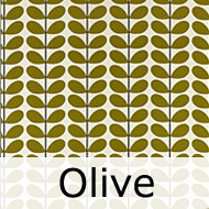 オーラ・カイリー　Two Colour Stem Olive